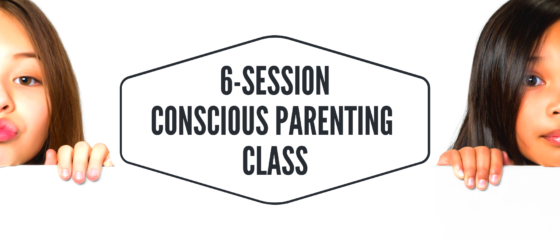 DrArayeh-Conscious-Parenting-Class-Website